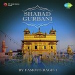 Bhai Sadhu Singh Ragi Songs MP3 Download